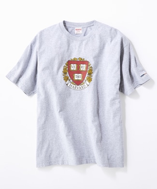HARVARD ロゴTシャツ メンズ グレー