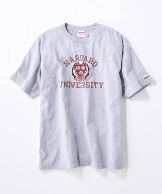 HARVARD ヴィンテージロゴTシャツ メンズ グレー