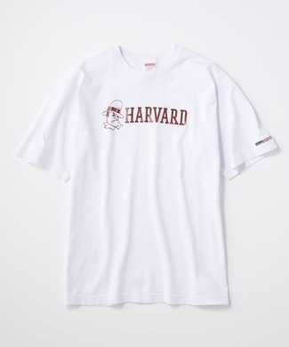 HARVARD ロゴTシャツ メンズ ホワイト