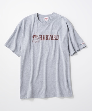 HARVARD ロゴTシャツ メンズ グレー