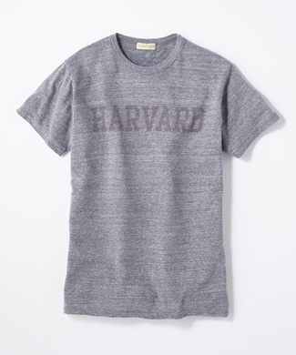 HARVARD アスレチックロゴTシャツ メンズ グレー