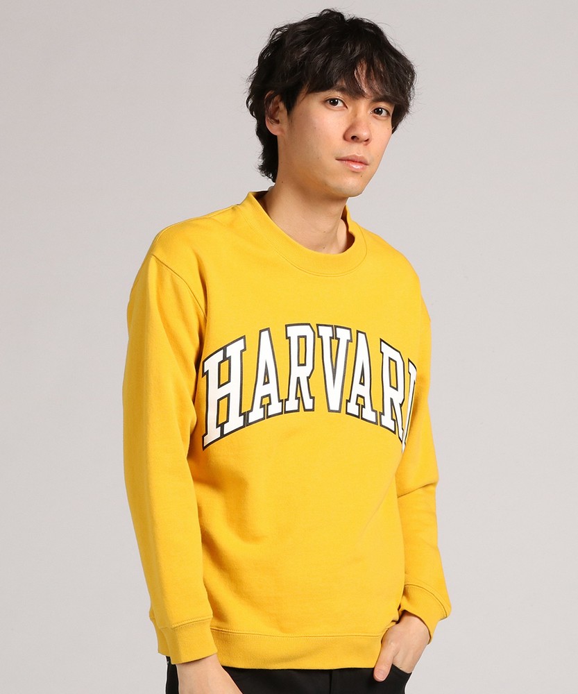 HARVARD カレッジプリントクルースウェットプルオーバー メンズ イエロー