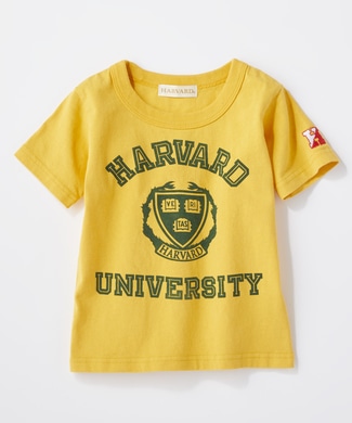 HARVARD カレッジプリントTシャツ キッズ イエロー