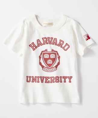 HARVARD カレッジプリントTシャツ キッズ ホワイト