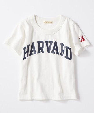 HARVARD カレッジプリントTシャツ キッズ *ホワイト